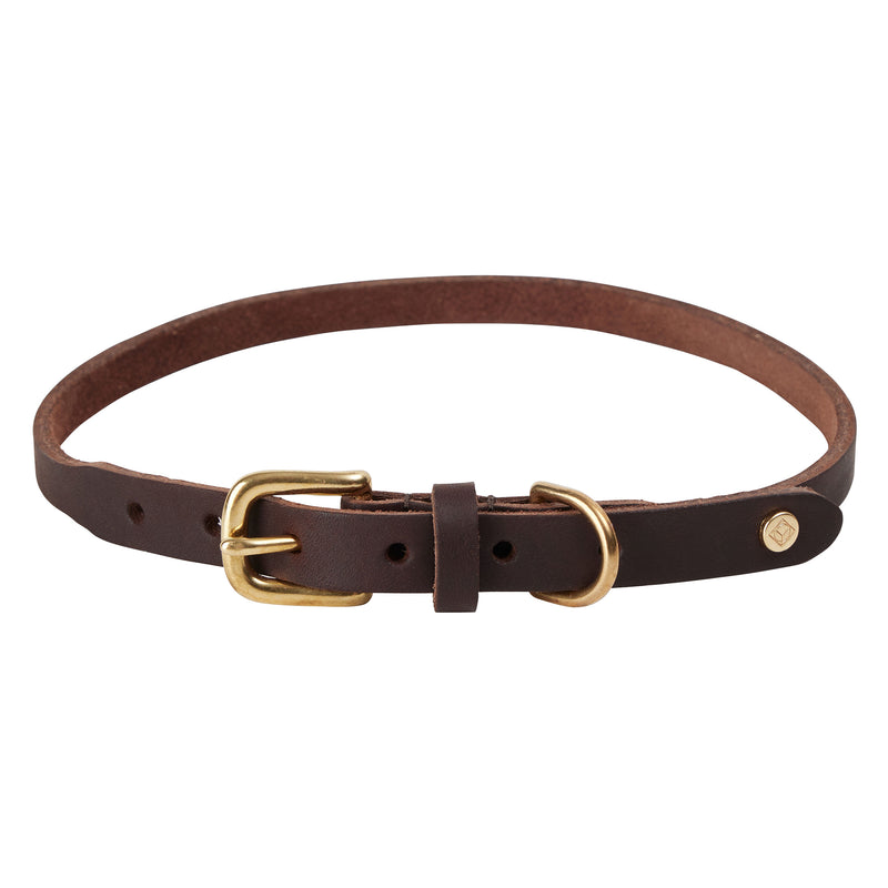 OYOY - Robin Hundehalsband | extra large