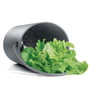 Eva Solo salad dryer
