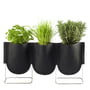 Authentics - Urban Garden Plantbags S3