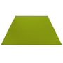 Carpet rectangular