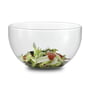 Jenaer Glas - Concept Salad bowl