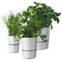Rosti Mepal - Hydro Herb pot - Group