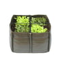 Bacsac - Bacsquare 4 plant bag