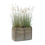 Bacsac Baclong 2 Plants bags - 70 litres