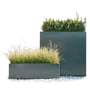 Flowerbox 3 (right) and 5 (left)