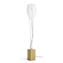 Domus - Tulip Floor Lamp - oiled oak, anthracite cable
