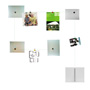 Tightrope picture and note holder