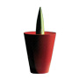 Aschenbecher "Joe Cactus"