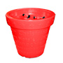 Bloom! X-Mas Pot 