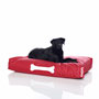 Doggielounge, large