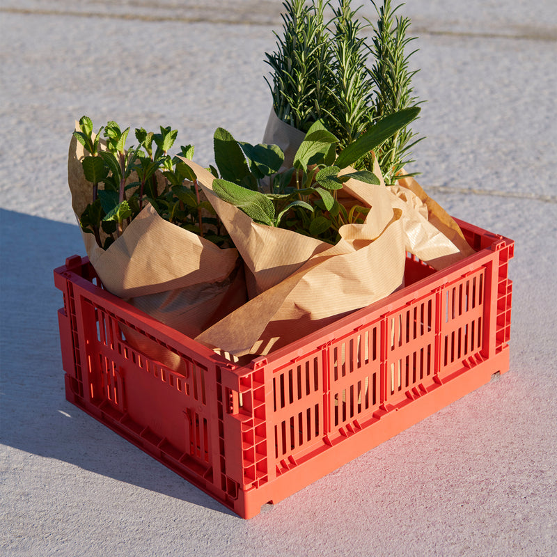 HAY - Colour Crate Korb M mit Deckel und Rollen