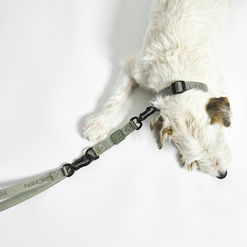 MiaCara - Modena Hundehalsband