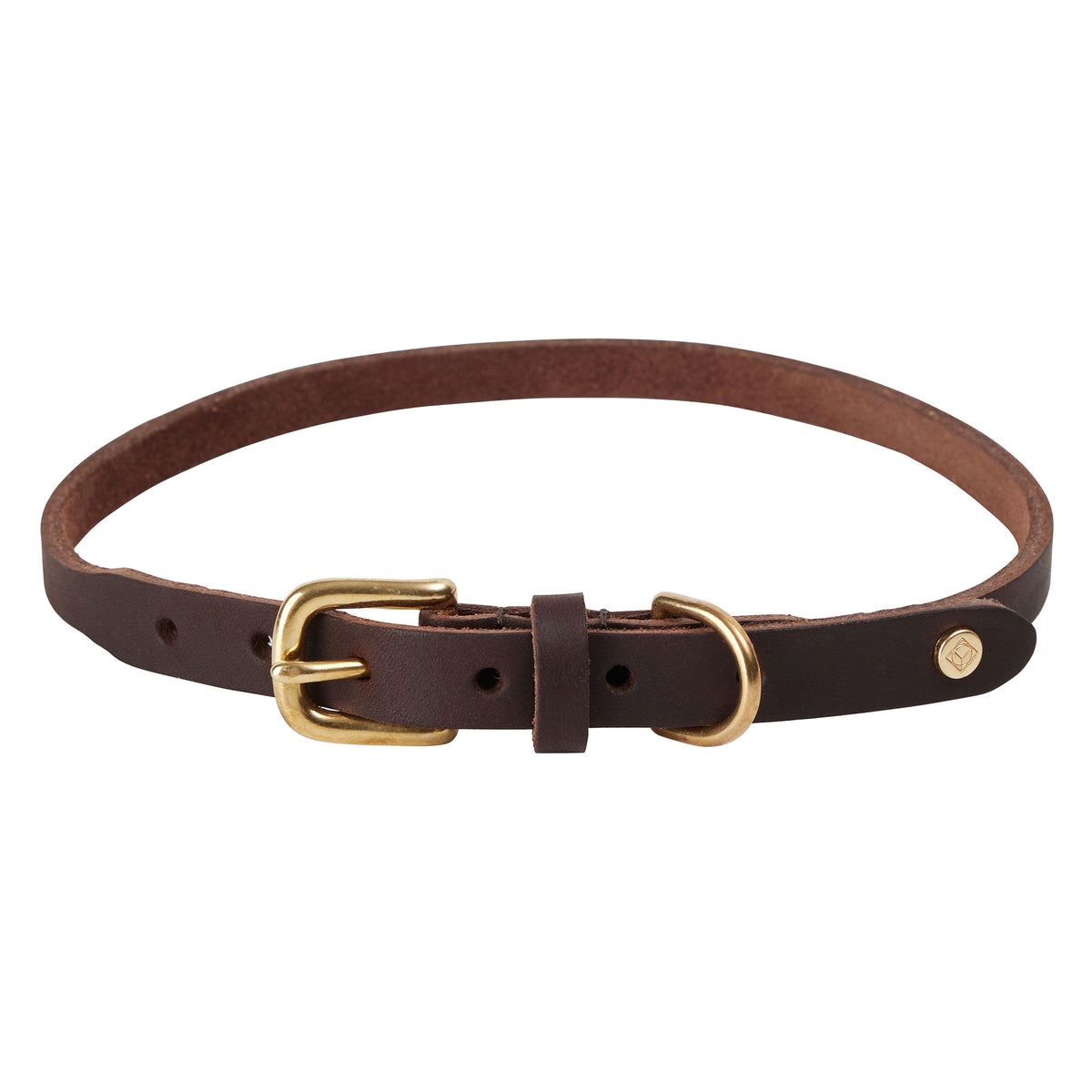 OYOY - Robin Hundehalsband | extra large