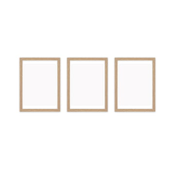 Onderzoek Vergelijken Verbonden Collection - Frame it picture frame (set of 3) | Connox